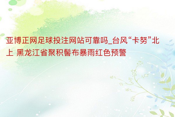 亚博正网足球投注网站可靠吗_台风“卡努”北上 黑龙江省聚积髻布暴雨红色预警